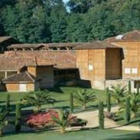 Maison Avec Piscine Proche Des Thermes Mauleon-D'armagnac Exterior photo
